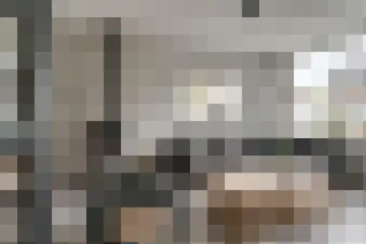 Buizerdstraat 73 Brummen thumbnail 12