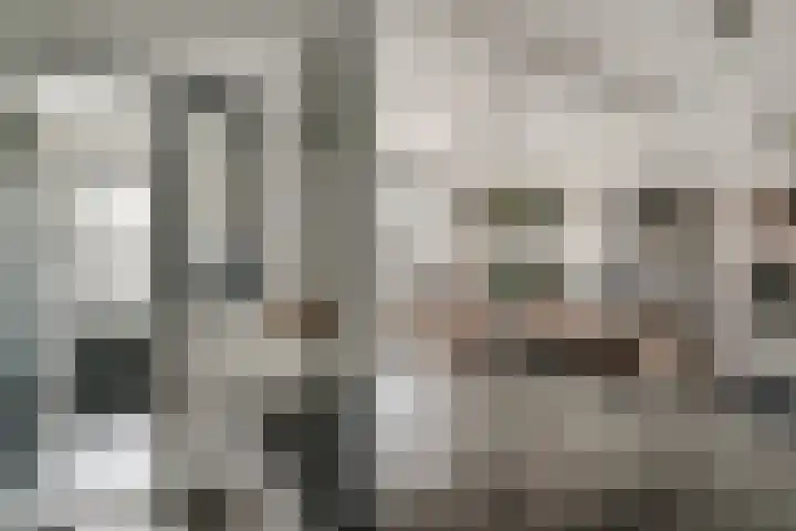 Buizerdstraat 73 Brummen thumbnail 20