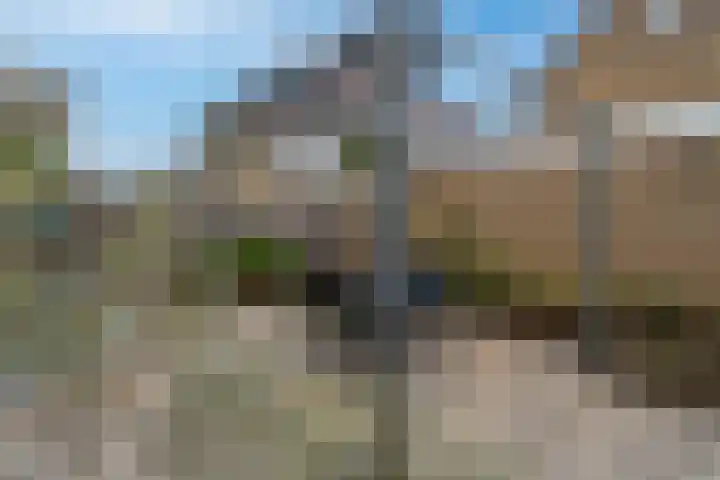 Buizerdstraat 73 Brummen thumbnail 24