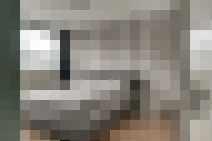 Buizerdstraat 73 Brummen thumbnail 35