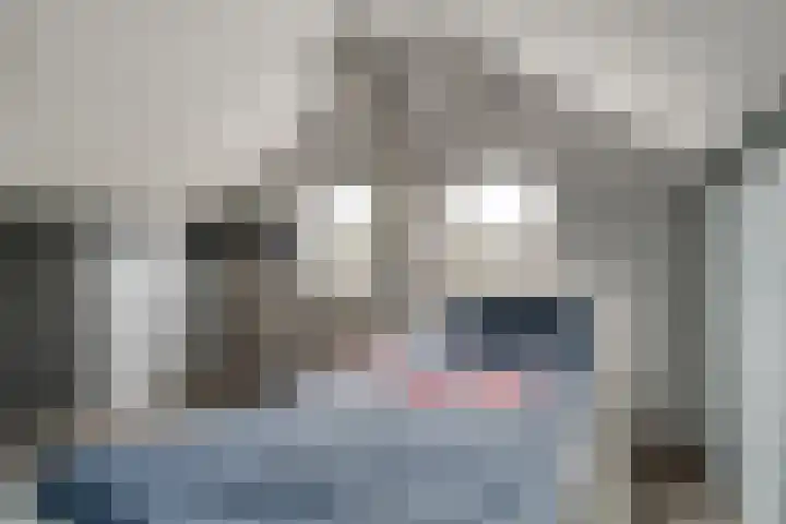 Buizerdstraat 73 Brummen thumbnail 41
