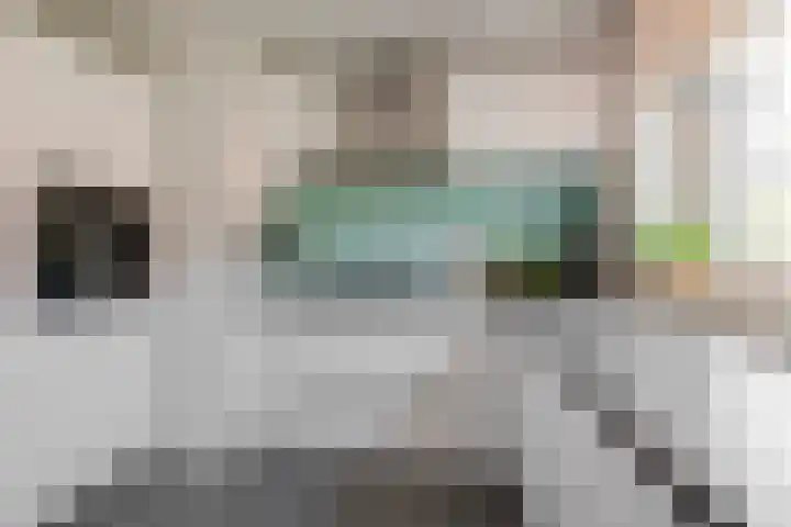 Buizerdstraat 8 Culemborg thumbnail 13