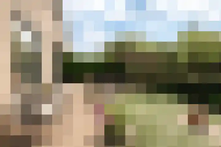 Buizerdstraat 8 Culemborg thumbnail 20