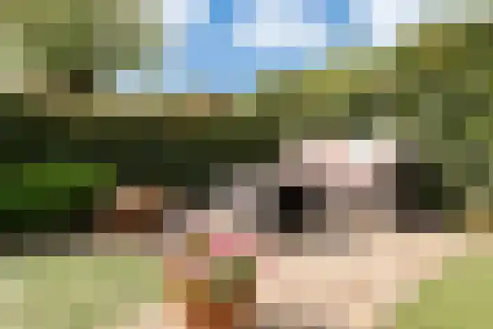 Buizerdstraat 8 Culemborg thumbnail 23