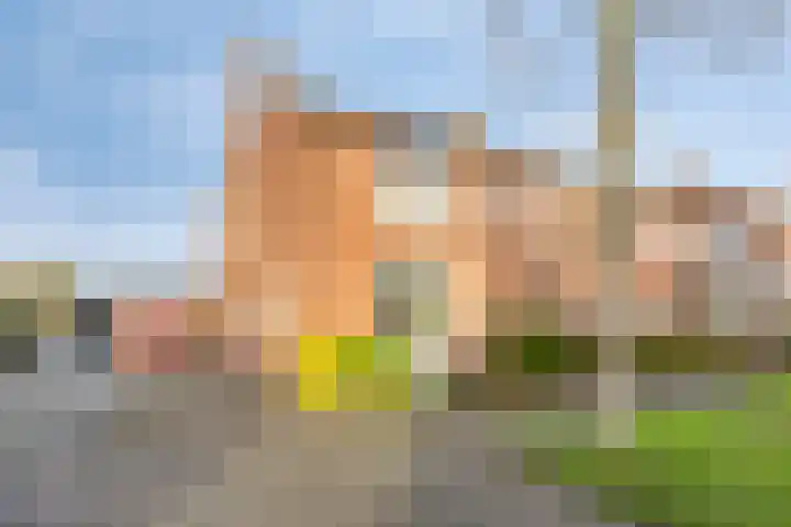 Buizerdstraat 80 Assen