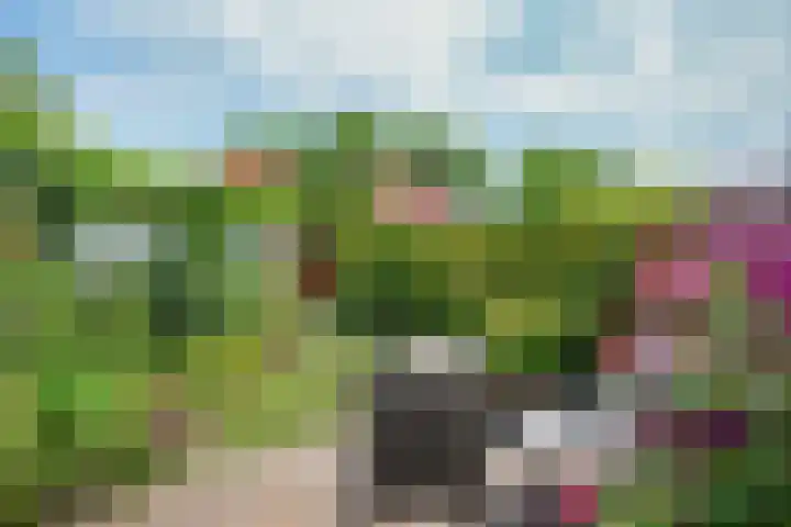 Buizerdveld 15 Zoetermeer thumbnail 13