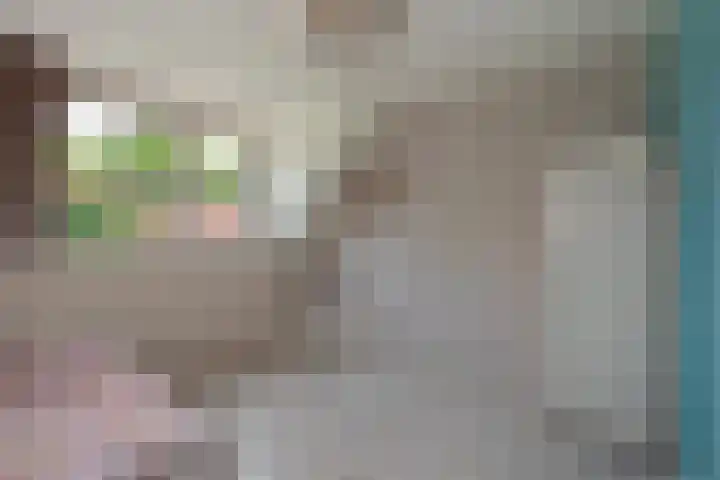 Buizerdveld 15 Zoetermeer thumbnail 25