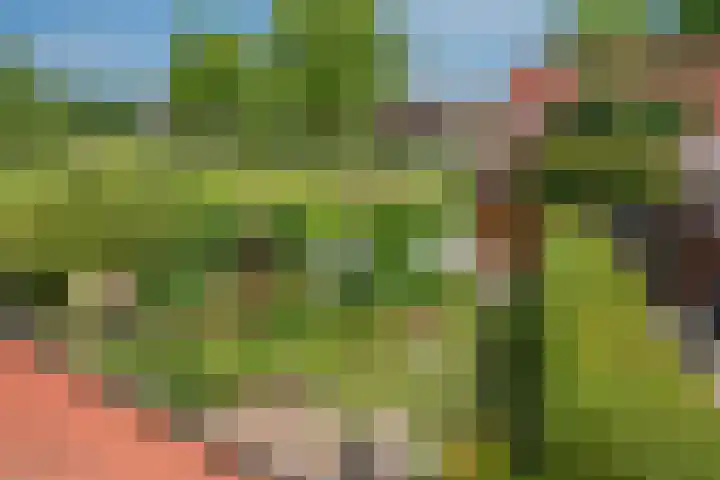 Buizerdveld 15 Zoetermeer thumbnail 27