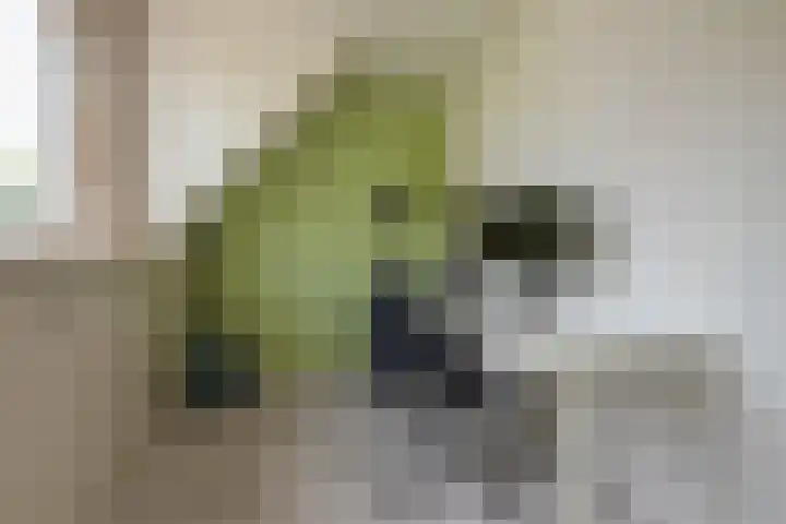 Buizerdveld 15 Zoetermeer thumbnail 36