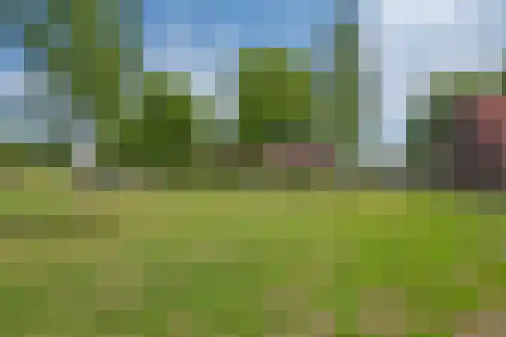 Buizerdveld 15 Zoetermeer thumbnail 40