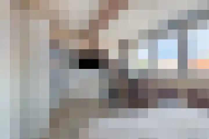 Buizerdveld 151 Zoetermeer thumbnail 22