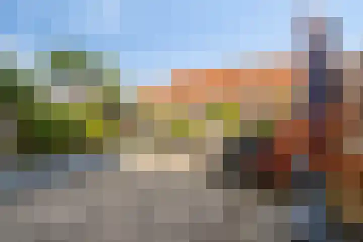 Buizerdveld 151 Zoetermeer thumbnail 24