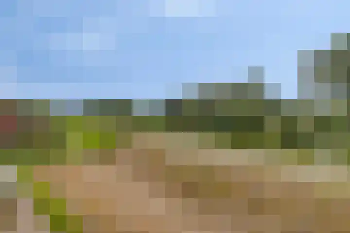 Buizerdveld 151 Zoetermeer thumbnail 28