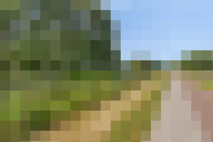 Buizerdveld 151 Zoetermeer thumbnail 29
