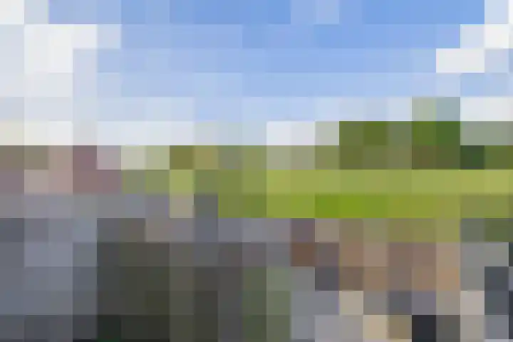 Buizerdveld 173 Zoetermeer thumbnail 19