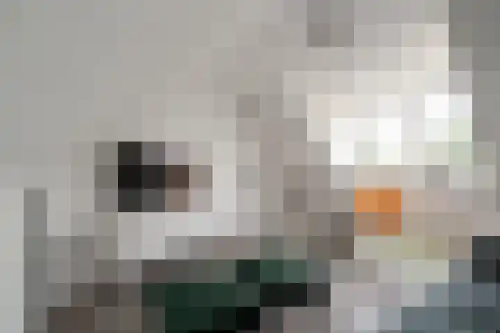Buizerdweg 110 Alkmaar thumbnail 16