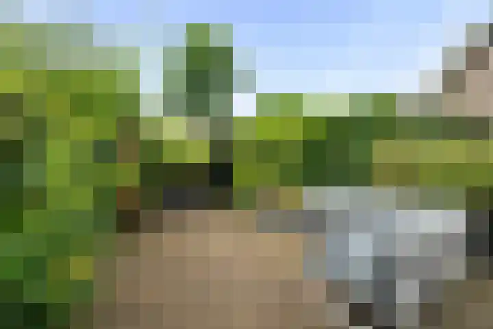 Buizerdweg 110 Alkmaar thumbnail 17