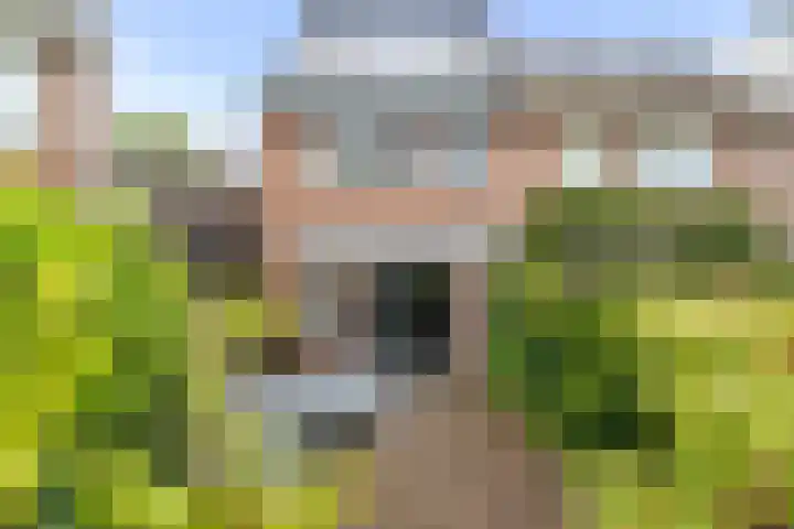 Buizerdweg 110 Alkmaar thumbnail 18