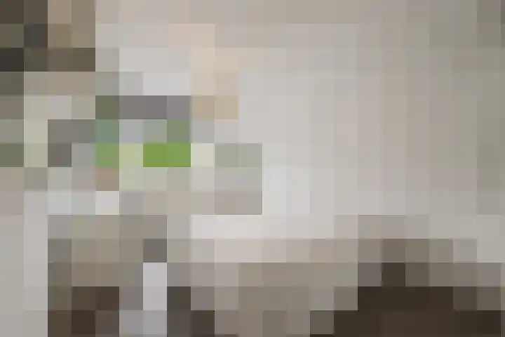 Buizerdweg 110 Alkmaar thumbnail 21