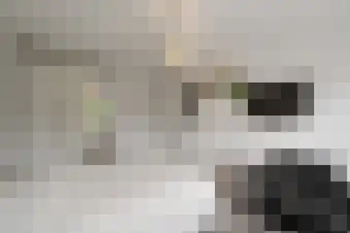 Buizerdweg 110 Alkmaar thumbnail 22