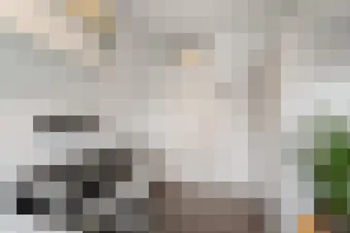 Buizerdweg 110 Alkmaar thumbnail 24