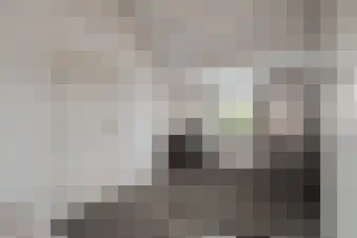 Buizerdweg 110 Alkmaar thumbnail 33