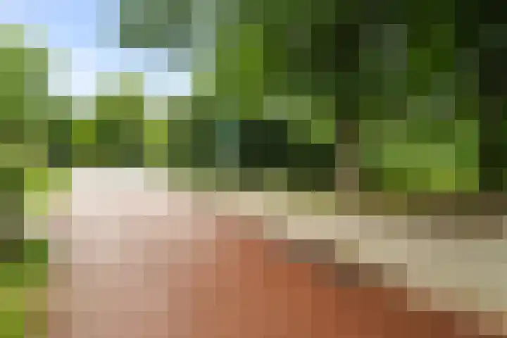 Buizerdweg 110 Alkmaar thumbnail 35