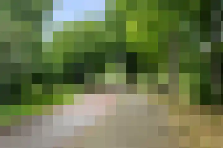 Buizerdweg 110 Alkmaar thumbnail 37