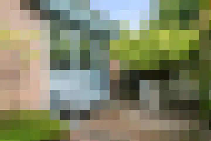 Buizerdweg 110 Alkmaar thumbnail 5