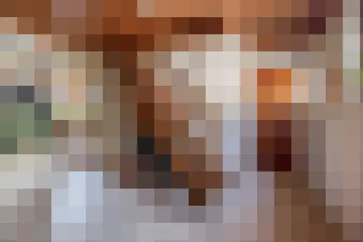 Buizerdweg 2 Heusden thumbnail 11