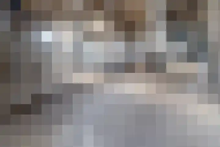 Buizerdweg 2 Heusden thumbnail 27