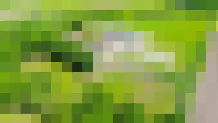 Buizerdweg 2 Heusden thumbnail 4