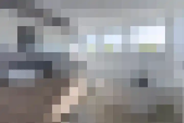 Buizerdweg 7 Landgraaf thumbnail 21