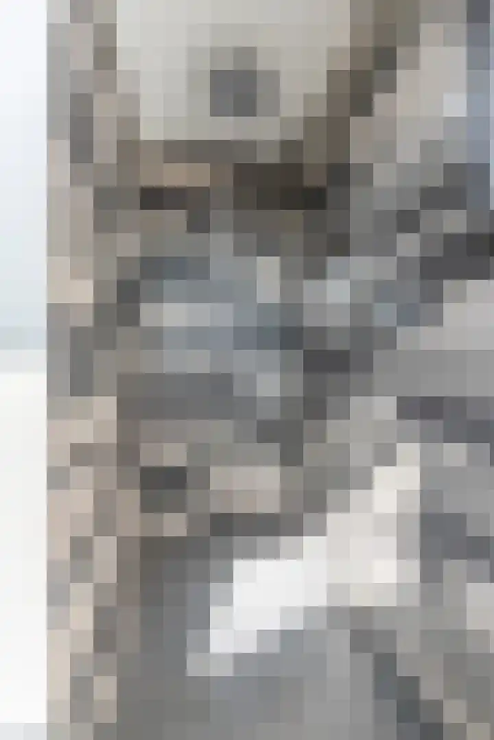 Buizerdweg 7 Landgraaf thumbnail 22