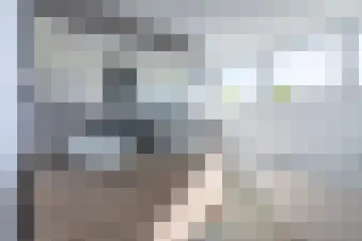 Buizerdweg 7 Landgraaf thumbnail 23
