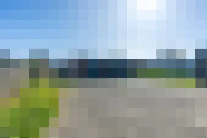 Buizerdweg 7 Landgraaf thumbnail 27