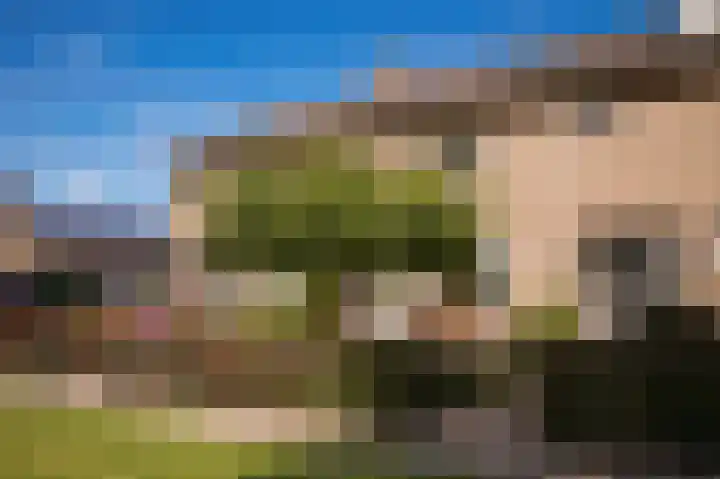 Bulckesteynstraat 26 Deil thumbnail 33