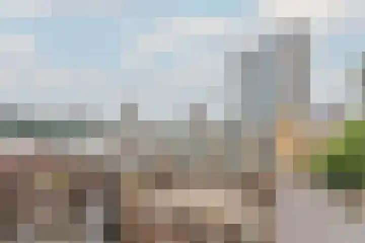 Bulgersteyn 7083 Rotterdam thumbnail 17