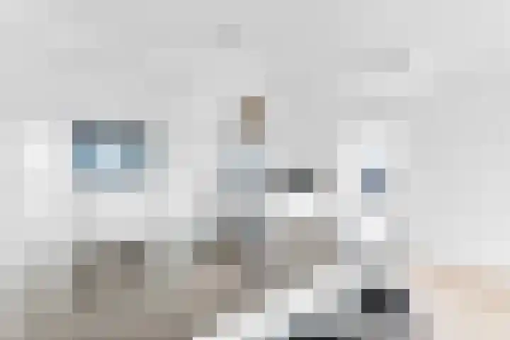 Bulgersteyn 7083 Rotterdam thumbnail 19