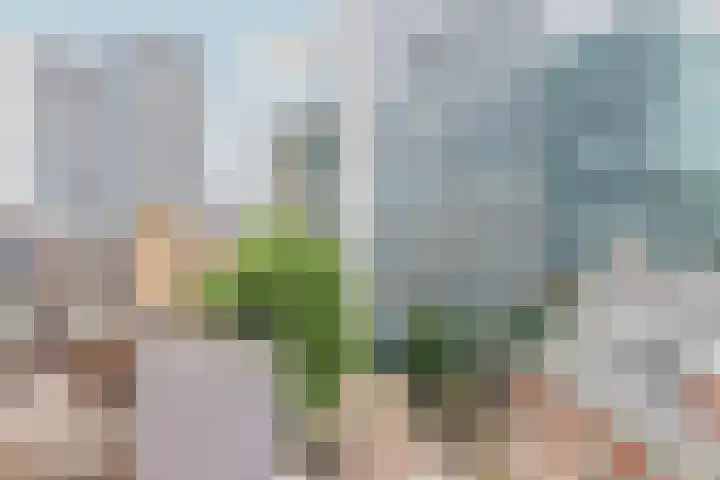 Bulgersteyn 7083 Rotterdam thumbnail 6