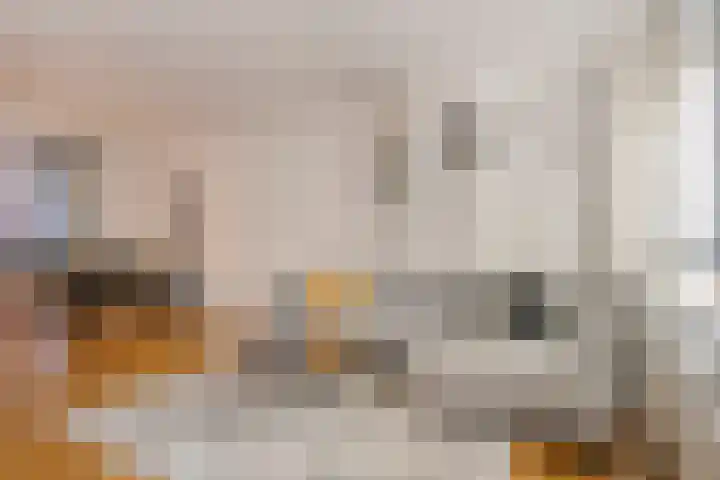 Bulgersteynhof 11 B Rotterdam thumbnail 10
