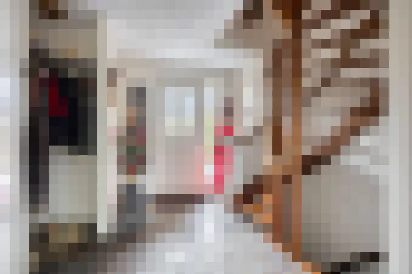 Bulkseweg 41 Kerkdriel thumbnail 20