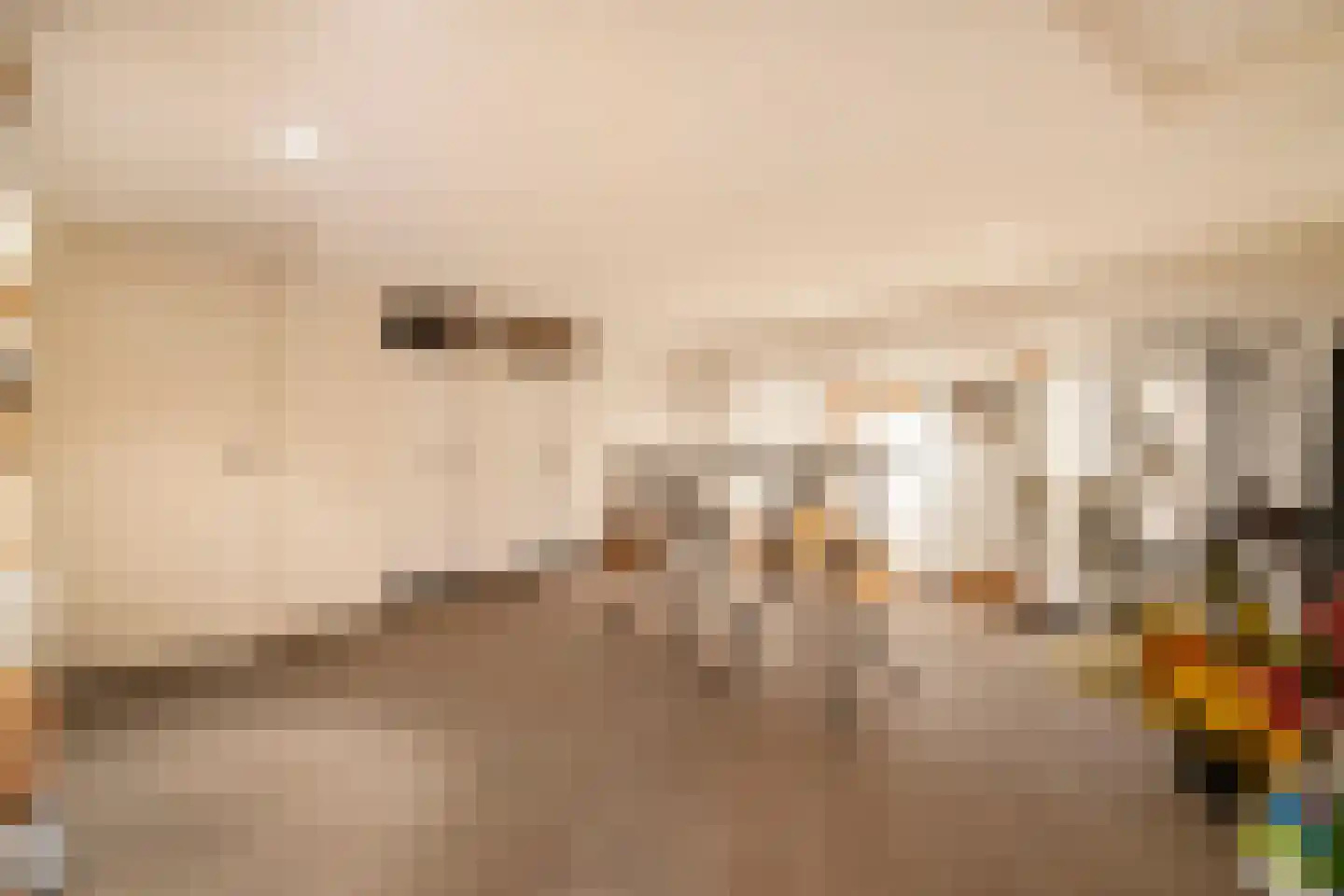 Bulkseweg 41 Kerkdriel thumbnail 22