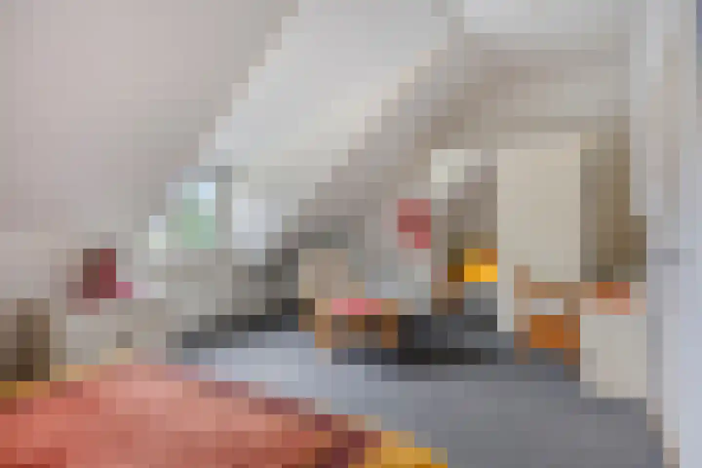 Bulkseweg 41 Kerkdriel thumbnail 44