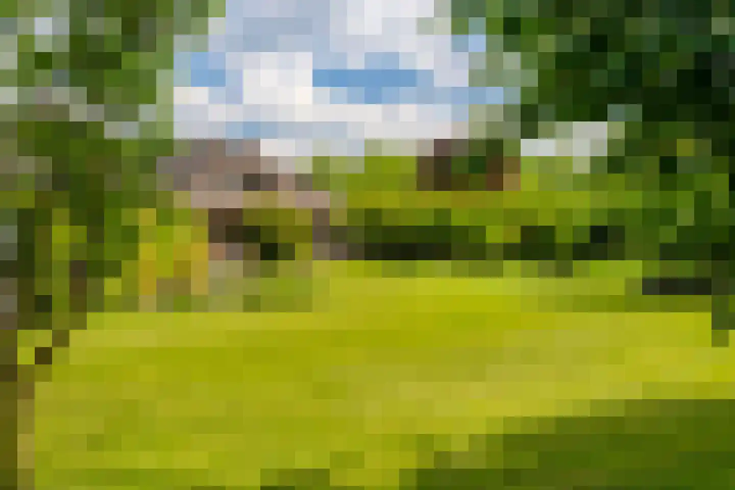 Bulkseweg 41 Kerkdriel thumbnail 47
