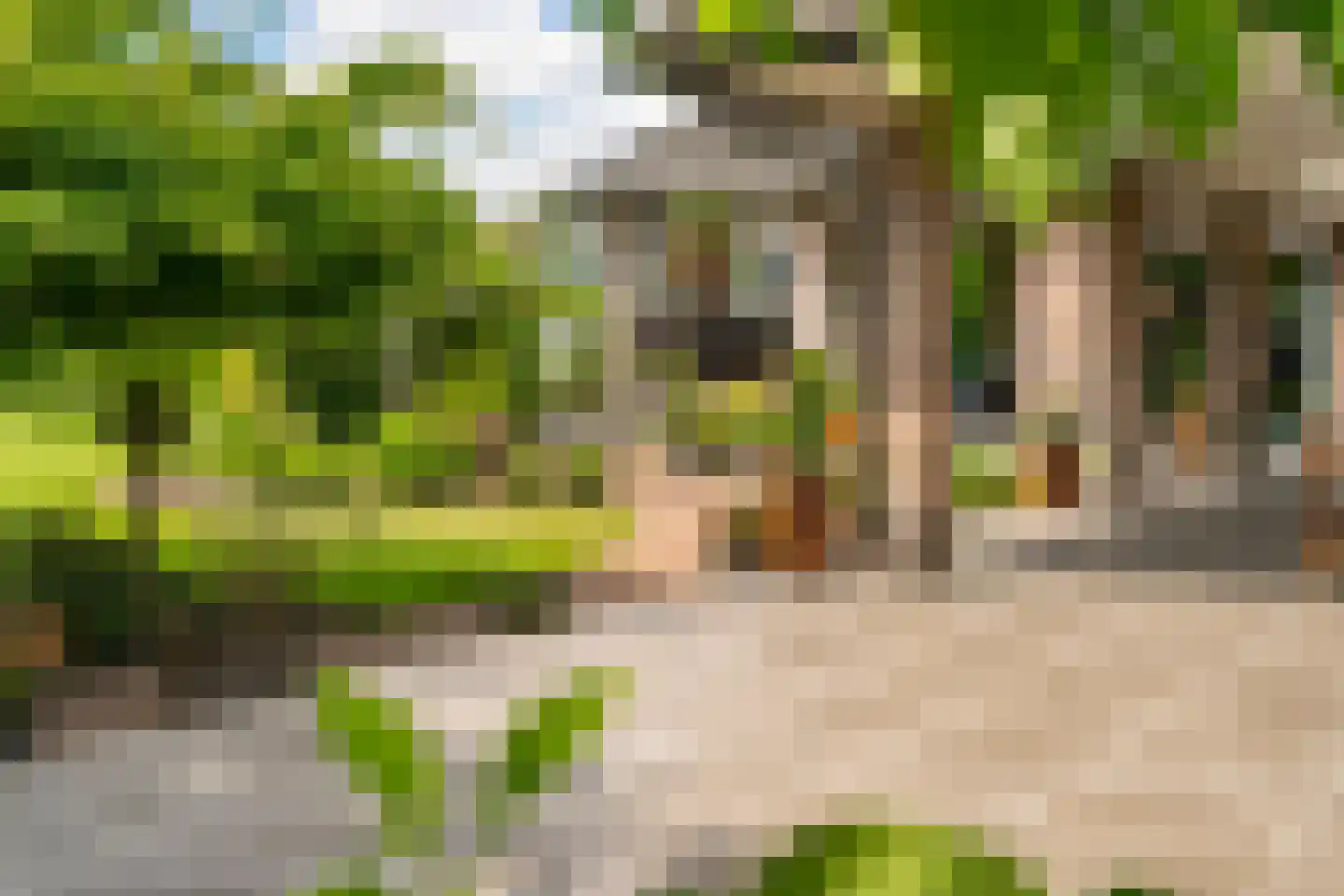 Bulkseweg 41 Kerkdriel thumbnail 56