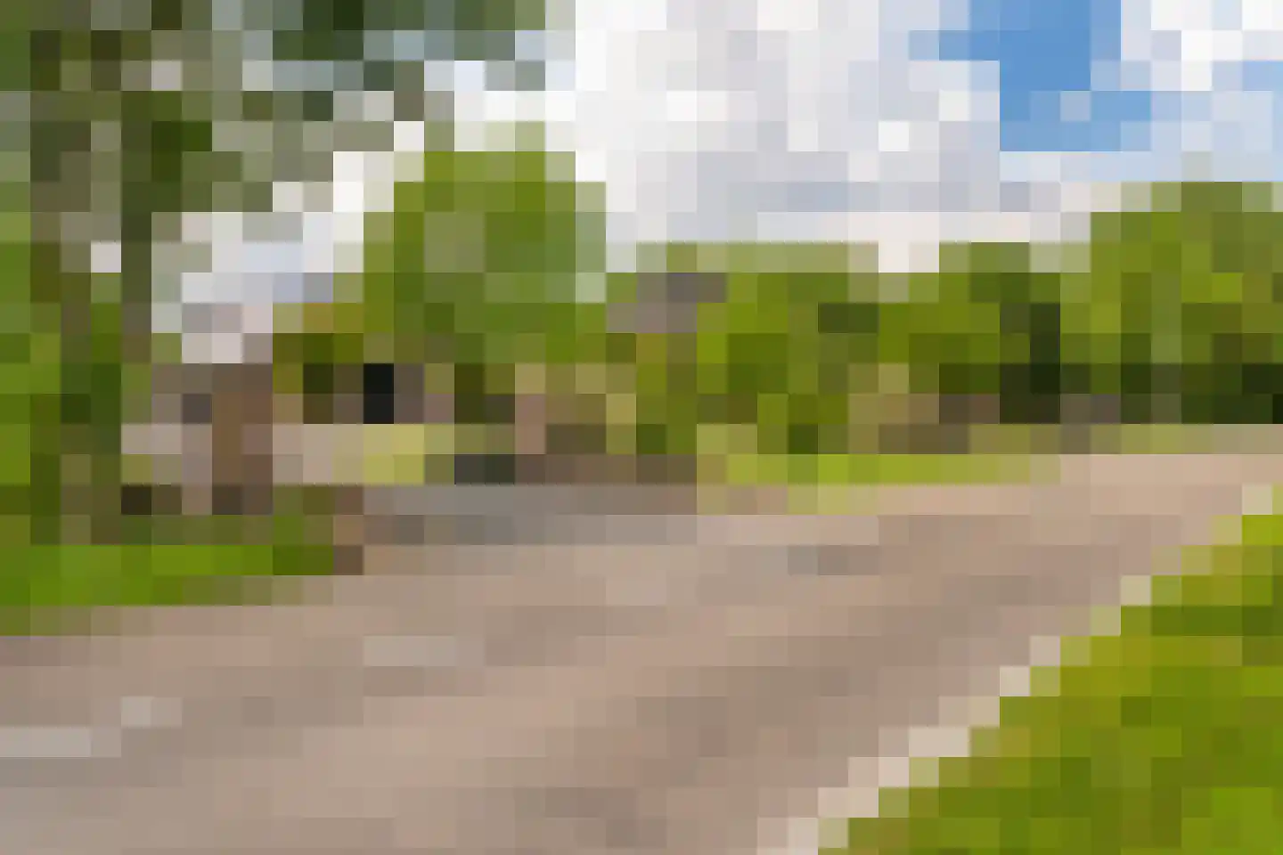 Bulkseweg 41 Kerkdriel thumbnail 61