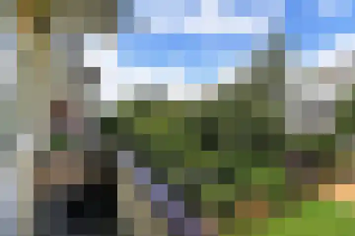 Bulkseweg 41 Kerkdriel thumbnail 62