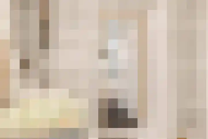 Büllerlaan 34 Beverwijk thumbnail 26