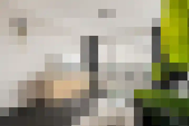 Büllerlaan 34 Beverwijk thumbnail 5